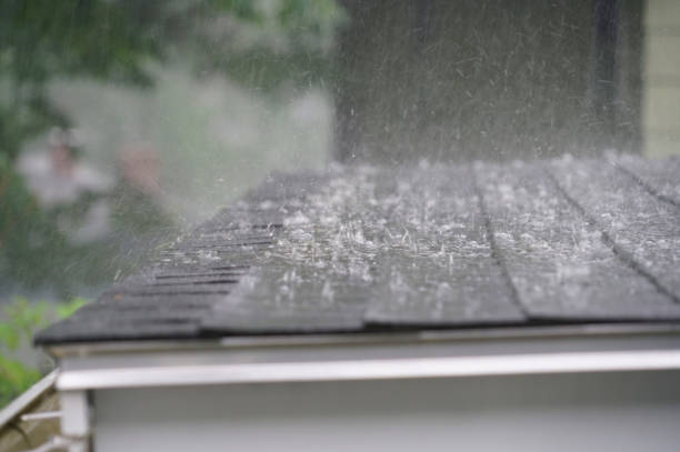 Best Storm Damage Roof Repair  in Hallam, PA